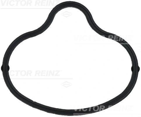 Gasket, intake manifold
